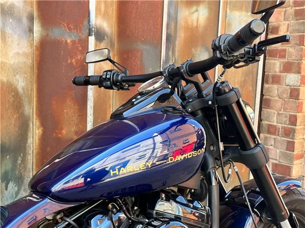2019 Harley-Davidson Softail