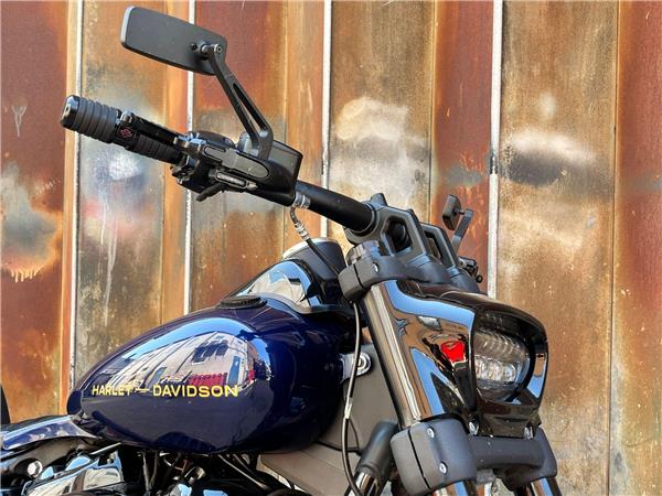 2019 Harley-Davidson Softail