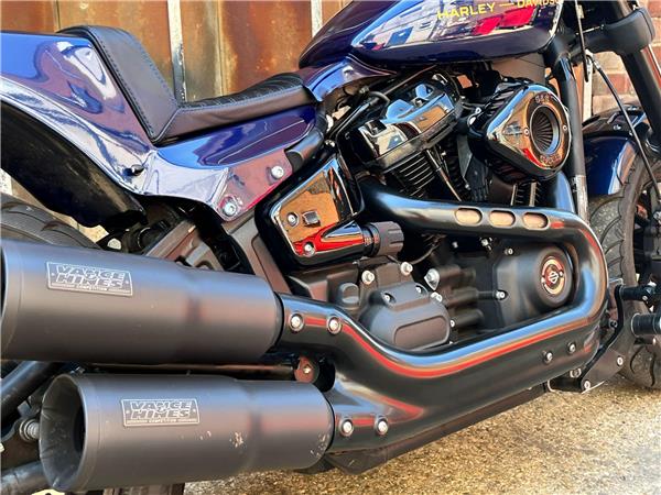 2019 Harley-Davidson Softail