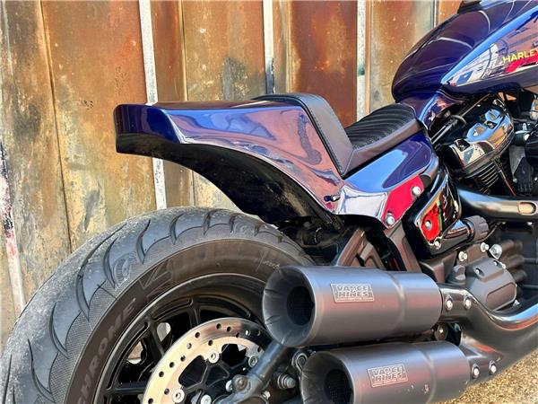2019 Harley-Davidson Softail