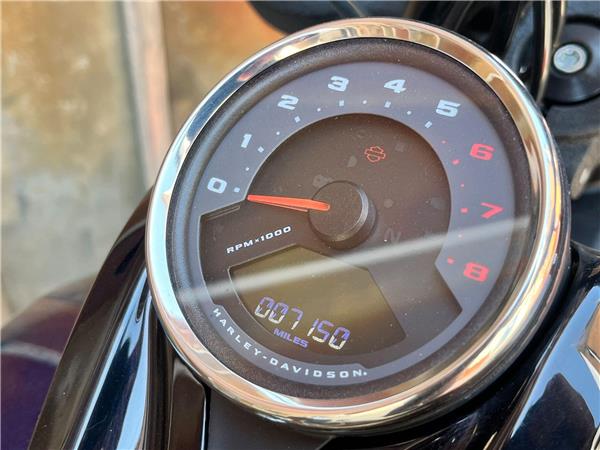 2019 Harley-Davidson Softail
