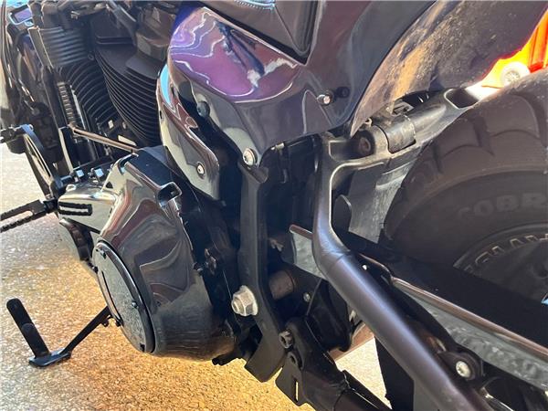 2019 Harley-Davidson Softail
