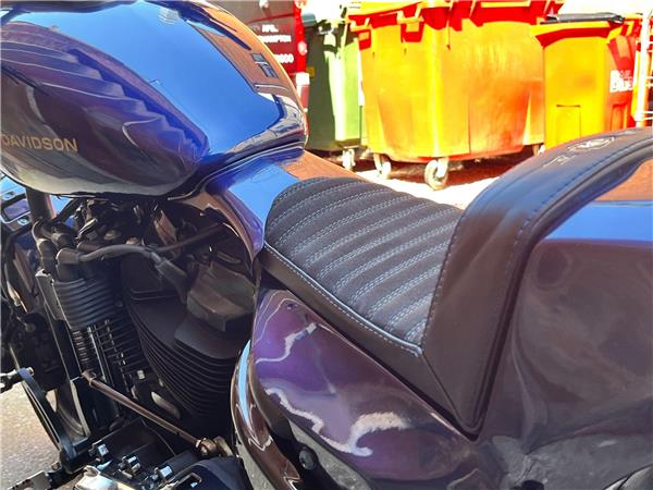 2019 Harley-Davidson Softail