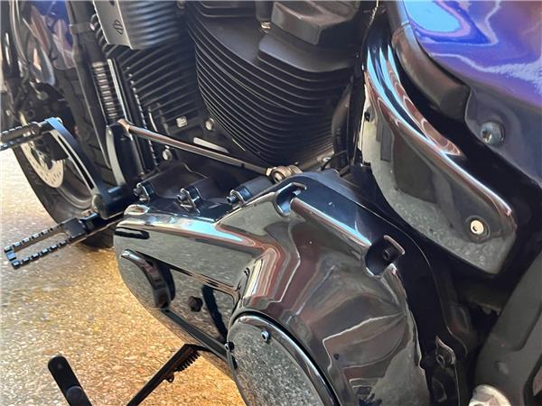 2019 Harley-Davidson Softail