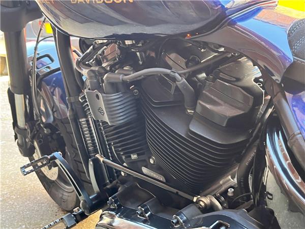 2019 Harley-Davidson Softail