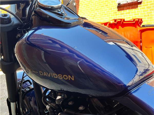 2019 Harley-Davidson Softail
