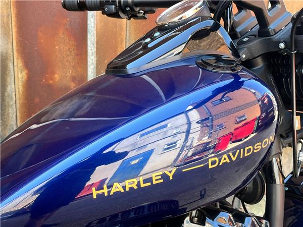 2019 Harley-Davidson Softail