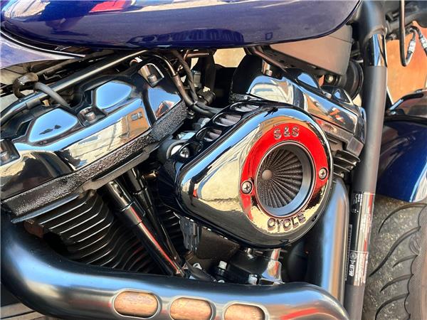 2019 Harley-Davidson Softail