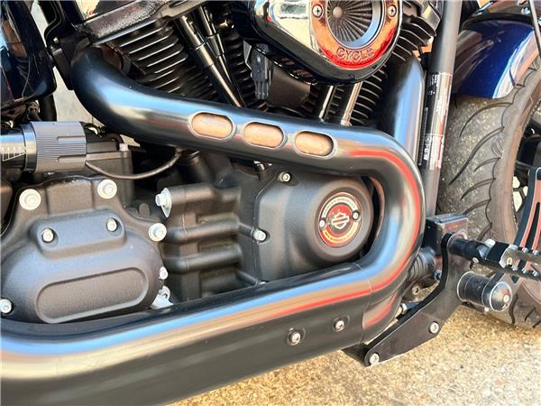 2019 Harley-Davidson Softail