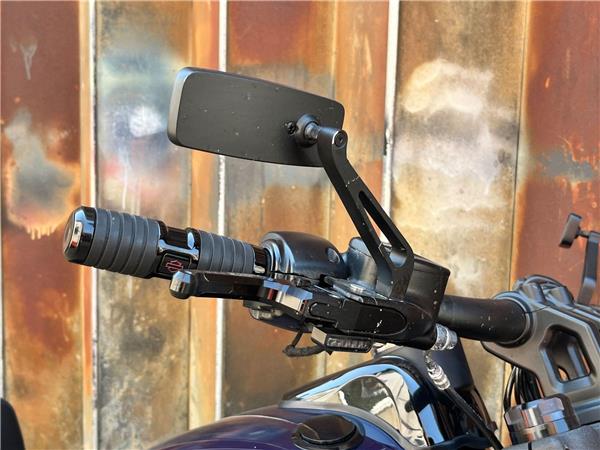 2019 Harley-Davidson Softail