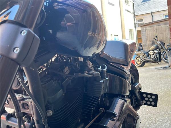2019 Harley-Davidson Softail