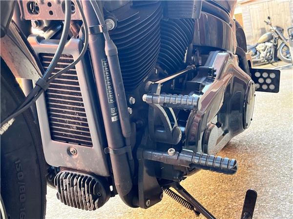 2019 Harley-Davidson Softail
