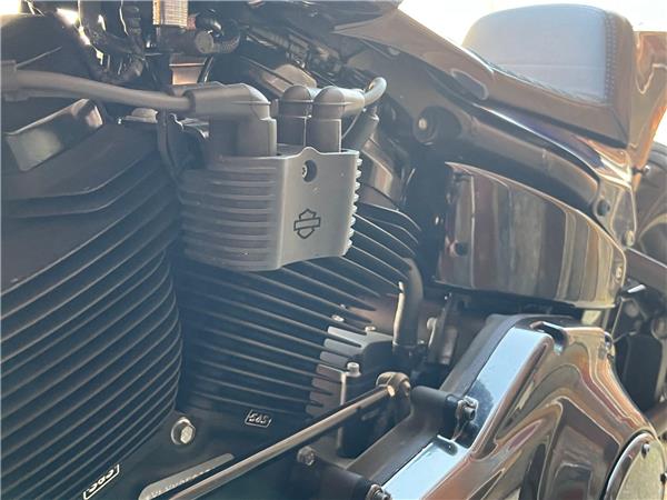 2019 Harley-Davidson Softail