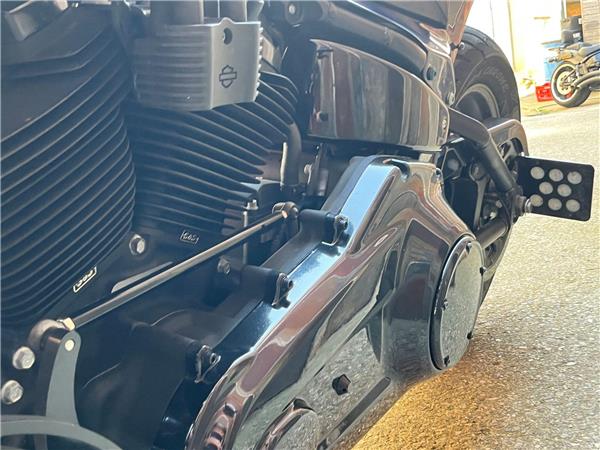 2019 Harley-Davidson Softail