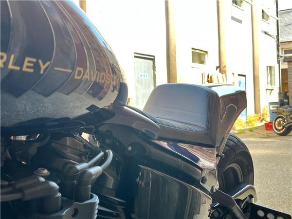 2019 Harley-Davidson Softail