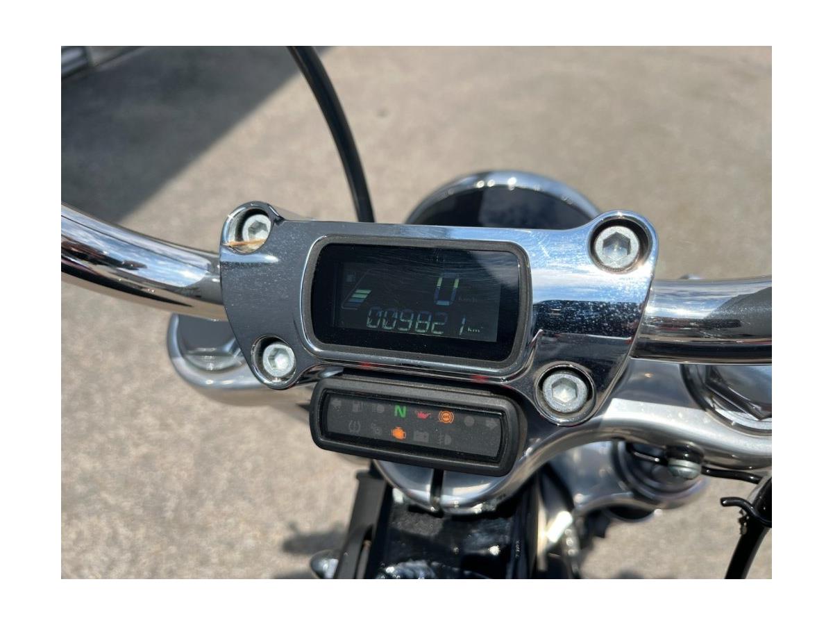 2021 Harley-Davidson Softail Standard FXST