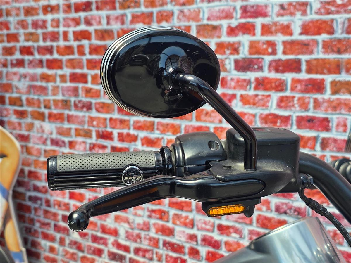 2019 harley-davidson FLFBS Fat Boy 114 ABS