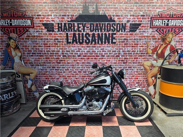 2013 harley-davidson FLS Softail Slim ABS