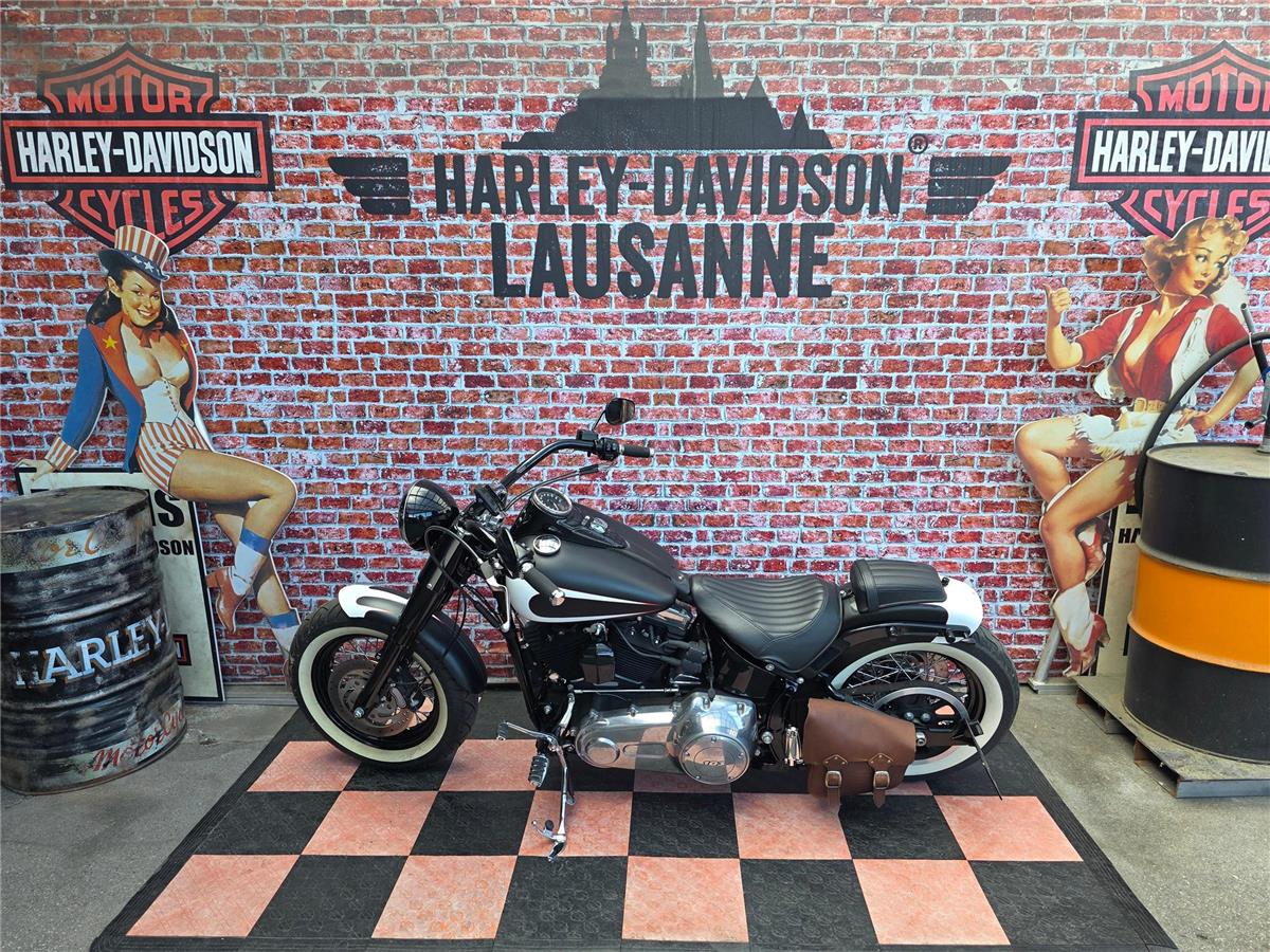 2013 harley-davidson FLS Softail Slim ABS