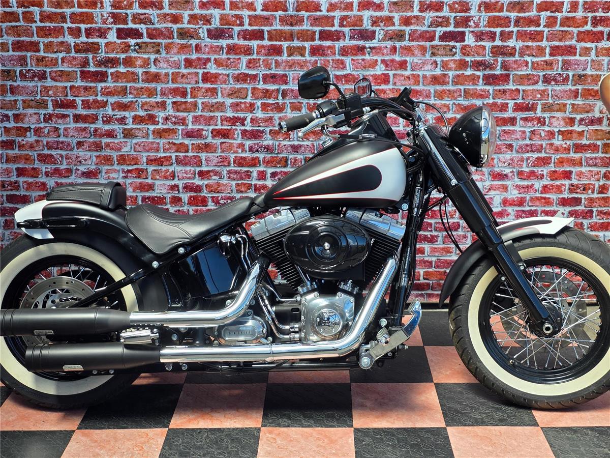 2013 harley-davidson FLS Softail Slim ABS