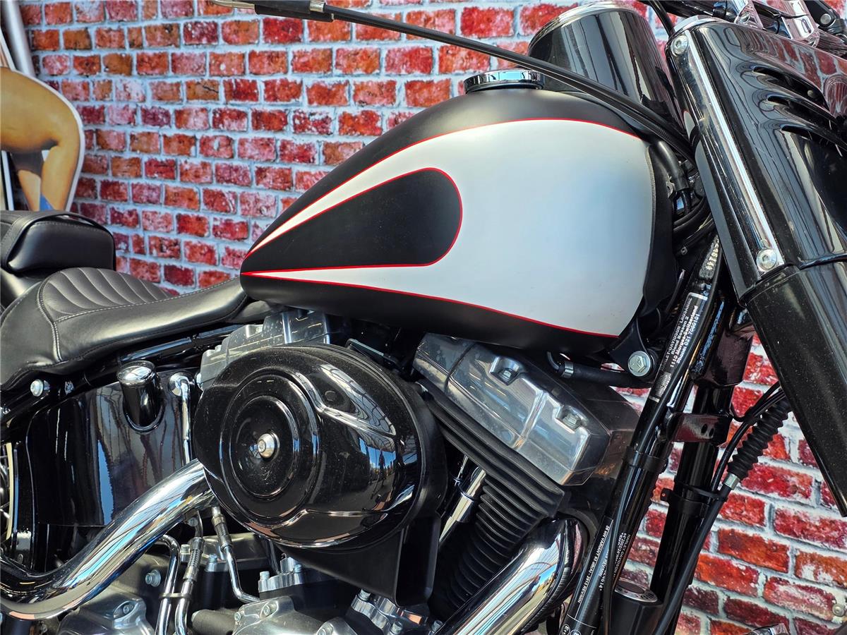 2013 harley-davidson FLS Softail Slim ABS