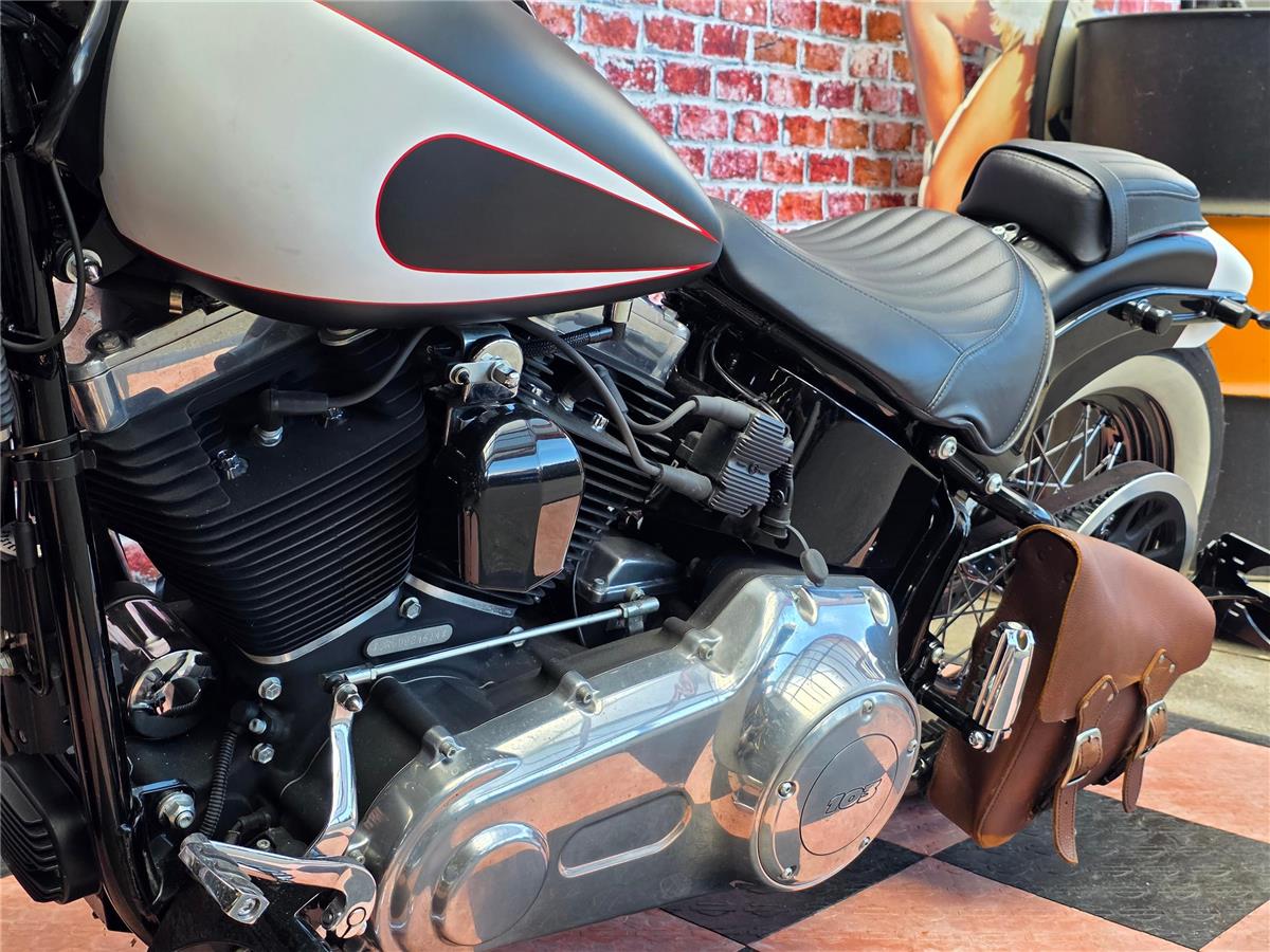 2013 harley-davidson FLS Softail Slim ABS