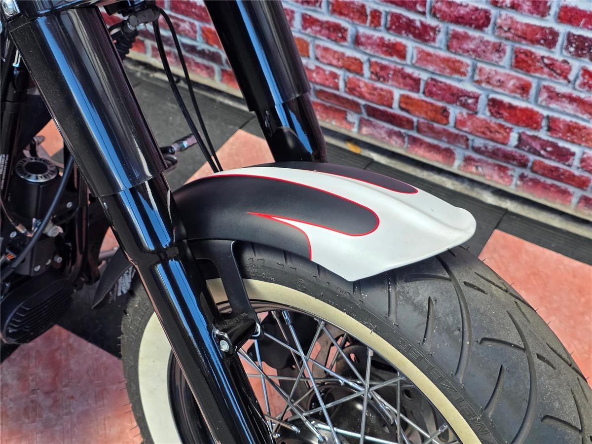 2013 harley-davidson FLS Softail Slim ABS
