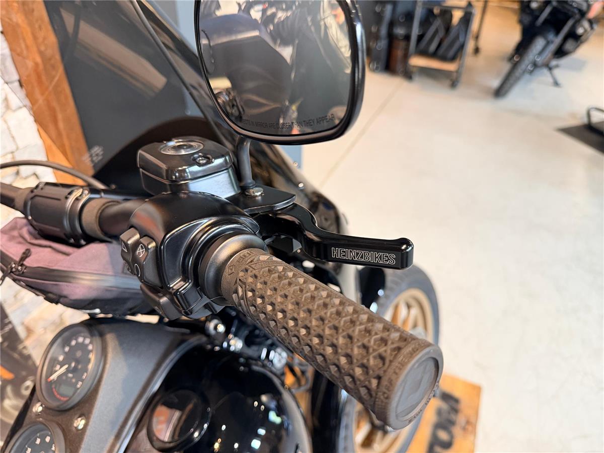 2017 harley-davidson FXDLS Dyna Low Rider S