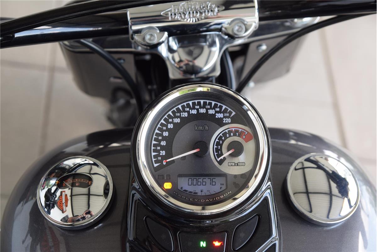 FLS Softail Slim Umbau