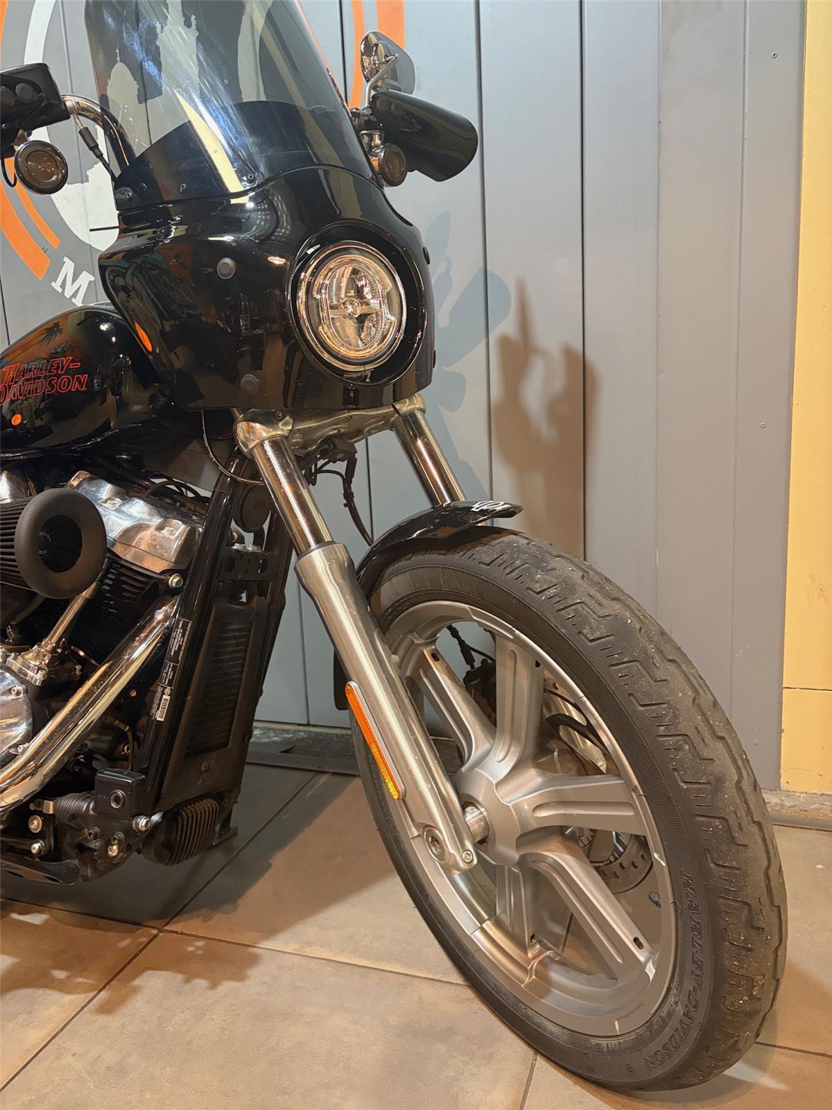 2024 HARLEY-DAVIDSON STANDARD