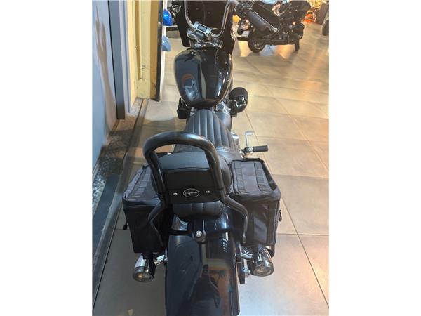 2024 HARLEY-DAVIDSON STANDARD