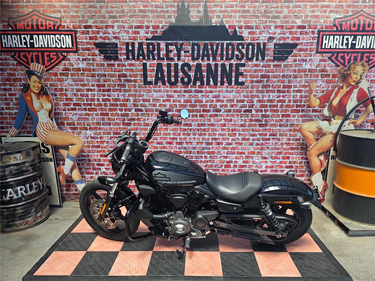 2022 harley-davidson RH 975 Nightster