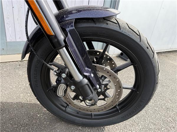 2026 HARLEY-DAVIDSON SOFTAIL FXLRS LOW RIDER S