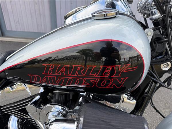 2014 HARLEY-DAVIDSON DYNA FXDL LOW RIDER