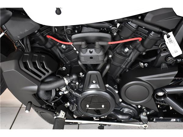 2026 HARLEY-DAVIDSON SPORTSTER S