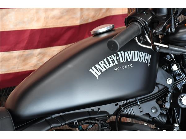 2013 HARLEY-DAVIDSON SPORTSTER XL883N IRON