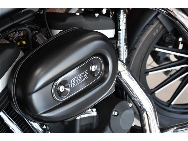 2013 HARLEY-DAVIDSON SPORTSTER XL883N IRON