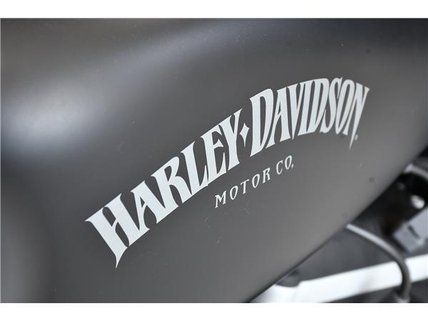 2013 HARLEY-DAVIDSON SPORTSTER XL883N IRON
