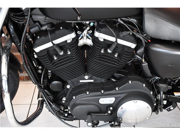 2013 HARLEY-DAVIDSON SPORTSTER XL883N IRON