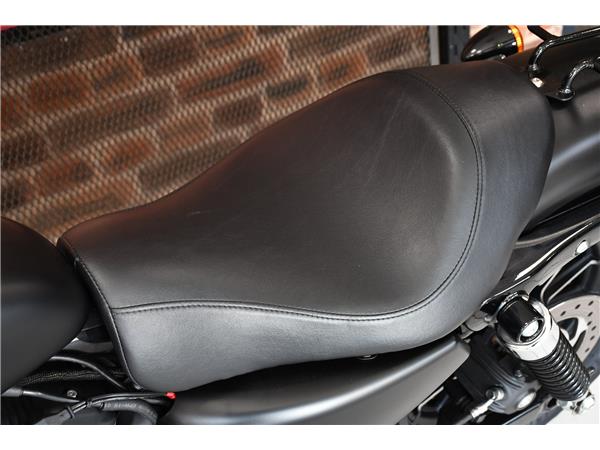 2013 HARLEY-DAVIDSON SPORTSTER XL883N IRON
