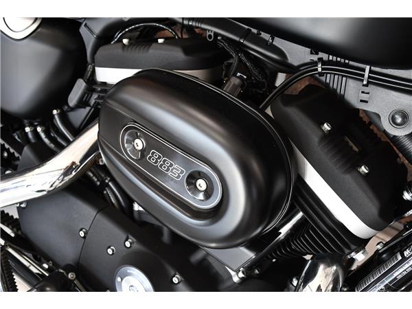 2013 HARLEY-DAVIDSON SPORTSTER XL883N IRON