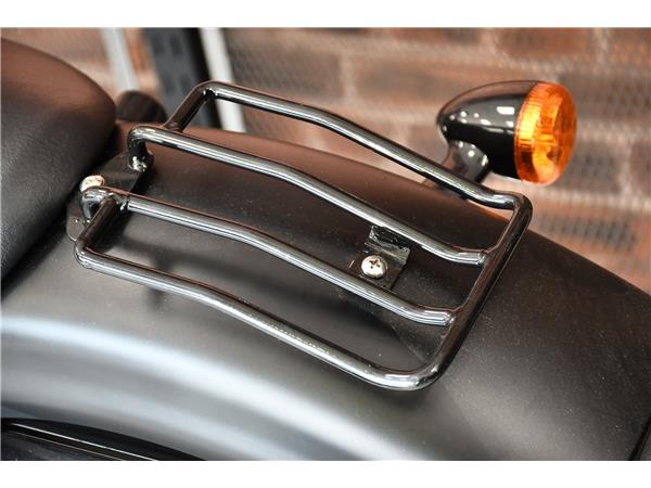 2013 HARLEY-DAVIDSON SPORTSTER XL883N IRON