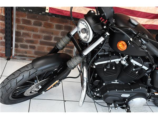 2013 HARLEY-DAVIDSON SPORTSTER XL883N IRON