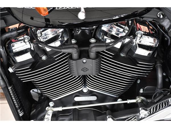2022 HARLEY-DAVIDSON SOFTAIL FXBRS BREAKOUT 114