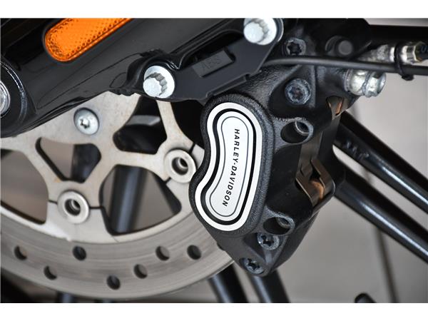 2022 HARLEY-DAVIDSON SOFTAIL FXBRS BREAKOUT 114