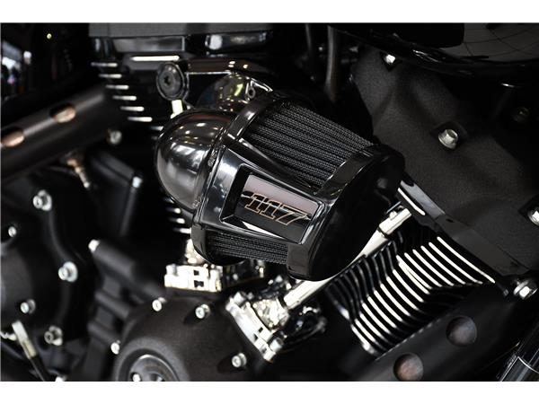 2024 HARLEY-DAVIDSON SOFTAIL FXLRS LOW RIDER S