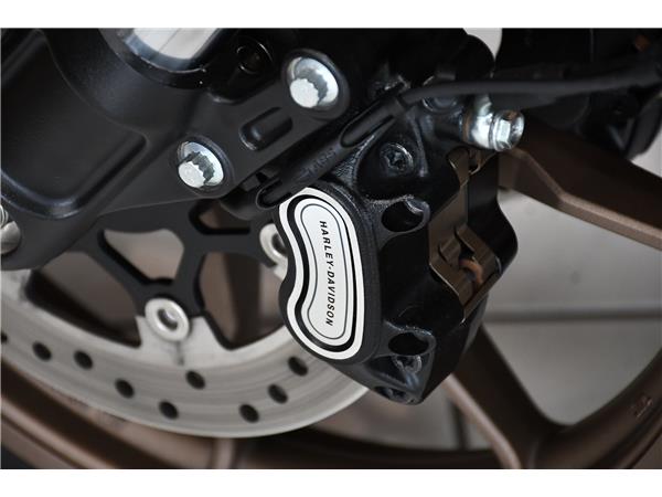 2024 HARLEY-DAVIDSON SOFTAIL FXLRS LOW RIDER S
