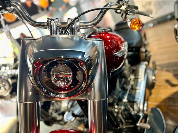 2019 Harley-Davidson Softail