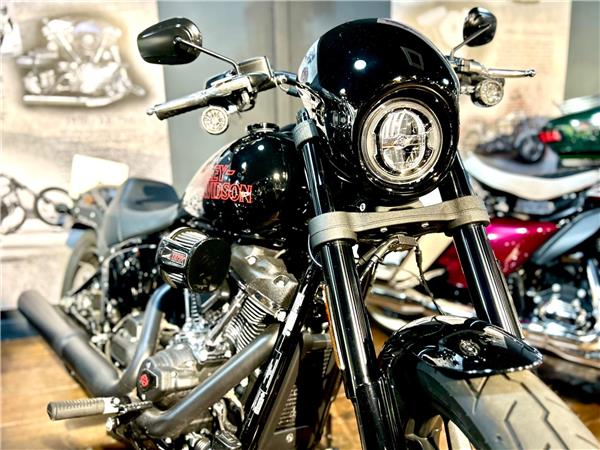 2025 Harley-Davidson Softail