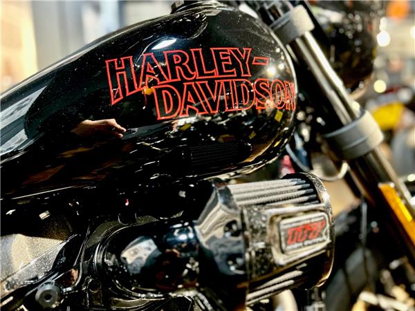 2025 Harley-Davidson Softail